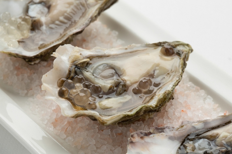 002-oysters-white